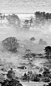 Houses are swept by a tsunami in Natori City in northeastern Japan