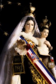 la-tirana-de-pie-phot